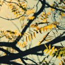 Autumn tree  screen for extension Chrome web store in OffiDocs Chromium