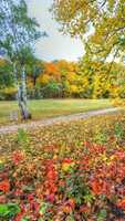 Free download Autumn Wallpapers HD ( 1) free photo or picture to be edited with GIMP online image editor