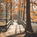 Autumn wooden bridge  screen for extension Chrome web store in OffiDocs Chromium