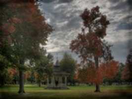 Free download autumny free photo or picture to be edited with GIMP online image editor