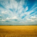 a vast green meadow under a clear blue sky  screen for extension Chrome web store in OffiDocs Chromium