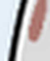 സൗജന്യ ഡൗൺലോഡ്, GIMP ഓൺലൈൻ ഇമേജ് എഡിറ്റർ ഉപയോഗിച്ച് എഡിറ്റ് ചെയ്യേണ്ട മുട്ട ഫ്രീ ഫോട്ടോയോ ചിത്രമോ ആണെന്ന് Avi ഊഹിക്കുക