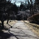 A Walkway at a Park in Nikko, Japan  screen for extension Chrome web store in OffiDocs Chromium