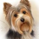Écran Awesome Dogs pour l'extension Chrome Web Store dans OffiDocs Chromium