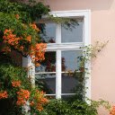 A window with flowers and vines growing around it  screen for extension Chrome web store in OffiDocs Chromium