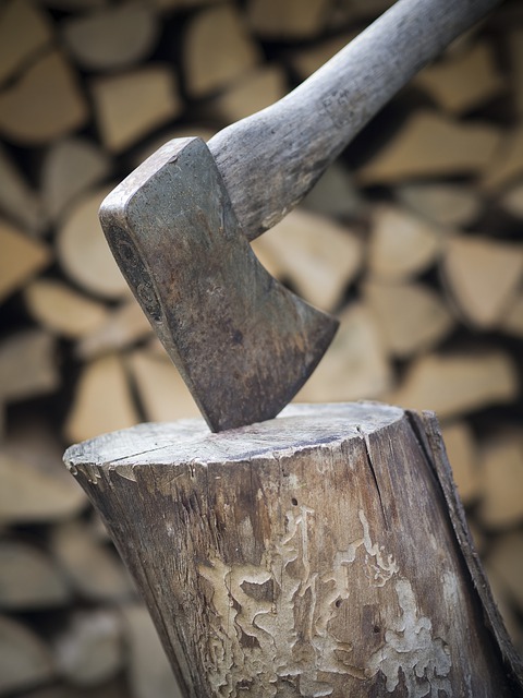 Free download axe wood forest firewood split free picture to be edited with GIMP free online image editor