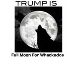 Free download Ayecappys Political Memes Vol 2 free photo or picture to be edited with GIMP online image editor