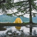 A Yellow Tent beside a Tree  screen for extension Chrome web store in OffiDocs Chromium