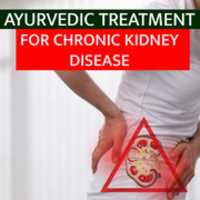 Free download Ayurvedic Treatment For Chronic Kidney Disease free photo or picture to be edited with GIMP online image editor