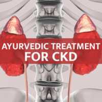 Free download Ayurvedic Treatment For CKD Patient free photo or picture to be edited with GIMP online image editor