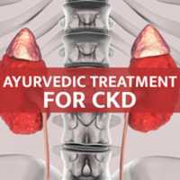 تنزيل Ayurvedic Treatment For CKD Patient صورة مجانية أو صورة مجانية لتحريرها باستخدام محرر الصور عبر الإنترنت GIMP