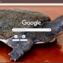 Ba ba  screen for extension Chrome web store in OffiDocs Chromium