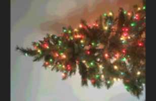 Free download Babel Image Archives - babelia #2784620...38027961 - christmas tree with a white wall in the background free photo or picture to be edited with GIMP online image editor