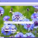 Bachelor’s Button  screen for extension Chrome web store in OffiDocs Chromium