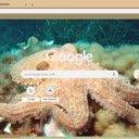 Bach tuoc  screen for extension Chrome web store in OffiDocs Chromium