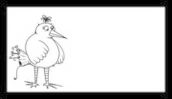 Free download Background Birds free photo or picture to be edited with GIMP online image editor