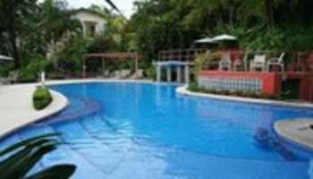 ດາວ​ໂຫຼດ​ຟຣີ Backyard pool Everglades Parkway ຟຣີ​ຮູບ​ພາບ​ຫຼື​ຮູບ​ພາບ​ທີ່​ຈະ​ໄດ້​ຮັບ​ການ​ແກ້​ໄຂ​ກັບ GIMP ອອນ​ໄລ​ນ​໌​ບັນ​ນາ​ທິ​ການ​ຮູບ​ພາບ