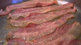 Free download Bacon Close Up Fat -  free video to be edited with OpenShot online video editor