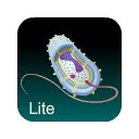 Bacteria Guide Lite  screen for extension Chrome web store in OffiDocs Chromium