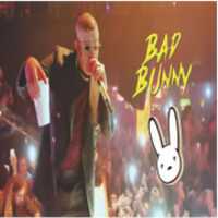 Free download BAD BUNNY LIVE POSTER free photo or picture to be edited with GIMP online image editor
