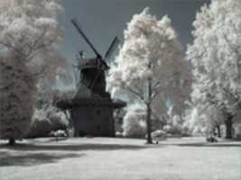 Free download Bad Zwischenahn: The Spa Gardens free photo or picture to be edited with GIMP online image editor