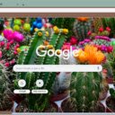 Ball Cactus Flower  screen for extension Chrome web store in OffiDocs Chromium