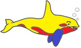 Free download Ballena Alegre free photo or picture to be edited with GIMP online image editor