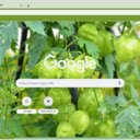 Balloon Vine  screen for extension Chrome web store in OffiDocs Chromium