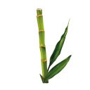 Bamboo Bulk  screen for extension Chrome web store in OffiDocs Chromium