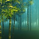 Bamboo Forest in Mist  screen for extension Chrome web store in OffiDocs Chromium