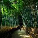Bamboos Emerald Embrace  screen for extension Chrome web store in OffiDocs Chromium