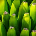 Banana nourishment green  screen for extension Chrome web store in OffiDocs Chromium