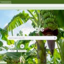 Free download Banana Tree -  free illustration to be edited with GIMP free online image editor