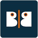 Bandyer Corporate Screensharing  screen for extension Chrome web store in OffiDocs Chromium