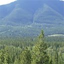 Tela do Parque Nacional de Banff para extensão da loja virtual do Chrome no OffiDocs Chromium