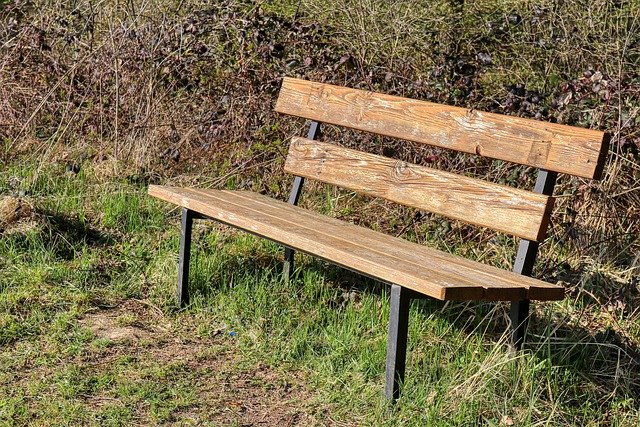 Free download bank wood bank hiking relax races free picture to be edited with GIMP free online image editor