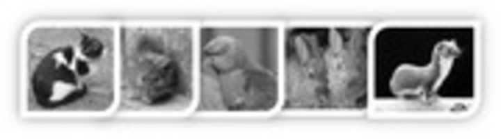 Free download Banner 600 free photo or picture to be edited with GIMP online image editor