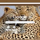 Bao Hoa Mai  screen for extension Chrome web store in OffiDocs Chromium