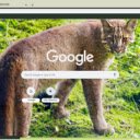 Bao lua  screen for extension Chrome web store in OffiDocs Chromium