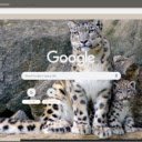 Bao trang  screen for extension Chrome web store in OffiDocs Chromium