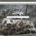 Bao tuyet  screen for extension Chrome web store in OffiDocs Chromium
