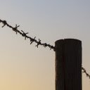 Barbed wire fence  screen for extension Chrome web store in OffiDocs Chromium