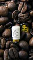 Free download Barista free photo or picture to be edited with GIMP online image editor