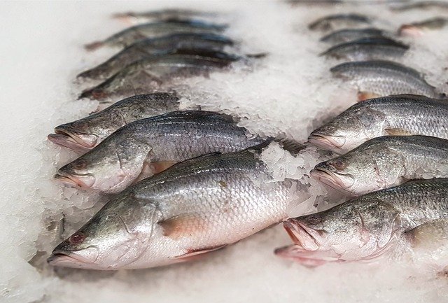 Бесплатно скачать баррамунди рыбный лед рынок морепродуктов бесплатное изображение для редактирования с помощью бесплатного онлайн-редактора изображений GIMP