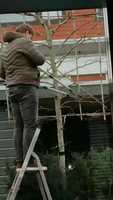 Free download Bart in tuin Doetichem (2021) free photo or picture to be edited with GIMP online image editor