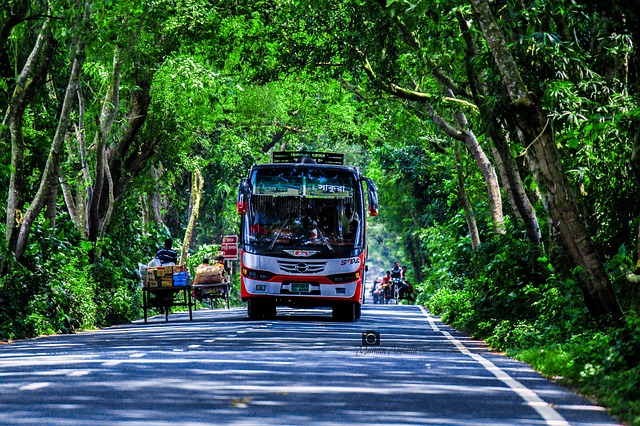 Free download bas cars bush travel bus vintage free picture to be edited with GIMP free online image editor