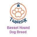 Basset Hound Dog Breed Thanesix.com-Bildschirm für die Erweiterung des Chrome-Webshops in OffiDocs Chromium