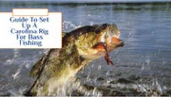 Free download Bass Fishing free photo or picture to be edited with GIMP online image editor