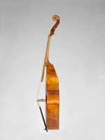 Free download Bass Viola da Gamba free photo or picture to be edited with GIMP online image editor