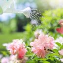 Bathing flowers  screen for extension Chrome web store in OffiDocs Chromium